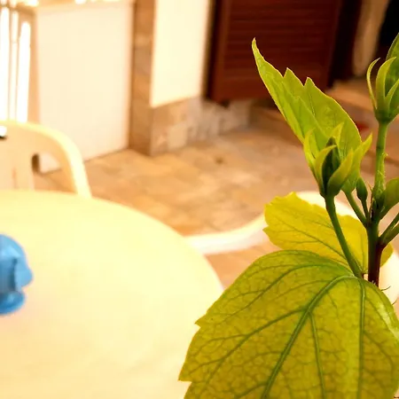 Casina Maria Al Mare *